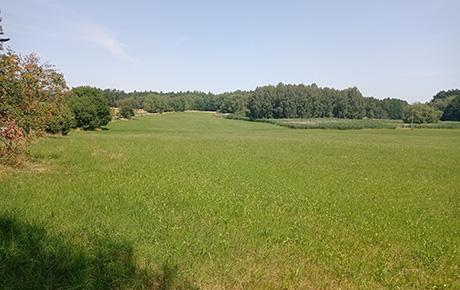 Pozemek prodej Vyžice